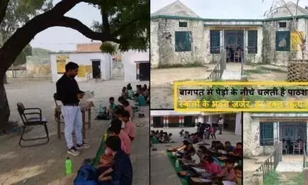 यूपी के इस जिले में स्कूलों में पेड़ों के नीचे चलती है प्राइमरी पाठशाला, हर वक्त हादसे का डर, अधिकारी बेखबर यूपी के इस जिले में स्कूलों में पेड़ों के नीचे चलती है प्राइमरी पाठशाला, हर वक्त हादसे का डर, अधिकारी बेखबर