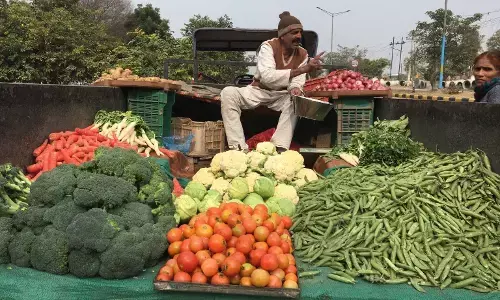 दिल्ली में सब्जी बेचने के लिए लेना जरूरी होगा लाइसेंस, लाइसेंस के रजिस्ट्रशन से होंगे ये फायदे दिल्ली में सब्जी बेचने के लिए लेना जरूरी होगा लाइसेंस, लाइसेंस के रजिस्ट्रशन से होंगे ये फायदे