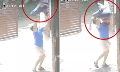 Kerala News: छत से गिरा छोटा भाई, नीचे खड़े बड़े भाई ने सुपरमैन की तरह बचाई जान! Kerala News: छत से गिरा छोटा भाई, नीचे खड़े बड़े भाई ने सुपरमैन की तरह बचाई जान!