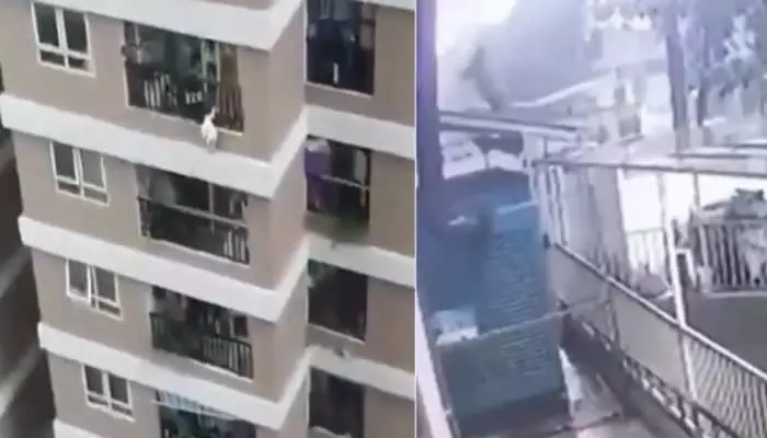 चार साल की बच्ची को चौथीचार साल की बच्ची को चौथी मंजिल के अपार्टमेंट की बालकनी से फेंकते दिख रही का वीडियो सामने आने के बाद महिला  को पुलिस ने  किया गिरफ्तार