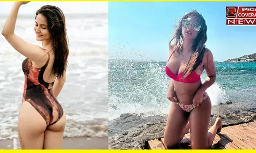 एली अवराम और शमा सिकंदर ने बढ़ाया Instagram का पारा, तस्वीरें देख हैरान रह जाएंगे, फैंस हुए दीवाने