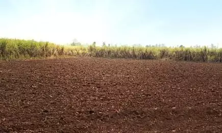 16 साल से भटक रहे जमीनों पर मालिकाना हक पर लोगों को राहत, यूपी आवास विकास की जमीनों को लेकर बैठक में फैसला 16 साल से भटक रहे जमीनों पर मालिकाना हक पर लोगों को राहत, यूपी आवास विकास की जमीनों को लेकर बैठक में फैसला