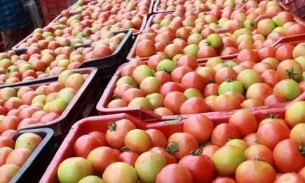 рдмрдВрдЧрд▓реВрд░реВ рд╕реЗ рд▓реЛрдбрд┐рдВрдЧ рдмрдВрдж, рд╕реВрдмреЗ рдХреЗ рдЯрдорд╛рдЯрд░ рдХреА рдмрдврд╝реА рдорд╛рдВрдЧ, рдХреНрд░реЗрдЯ рдХреЗ рджрд╛рдо рдореЗрдВ 200 рд░реБрдкрдпреЗ рддрдХ рдЖрдпрд╛ рдЙрдЫрд╛рд▓ рдмрдВрдЧрд▓реВрд░реВ рд╕реЗ рд▓реЛрдбрд┐рдВрдЧ рдмрдВрдж, рд╕реВрдмреЗ рдХреЗ рдЯрдорд╛рдЯрд░ рдХреА рдмрдврд╝реА рдорд╛рдВрдЧ, рдХреНрд░реЗрдЯ рдХреЗ рджрд╛рдо рдореЗрдВ 200 рд░реБрдкрдпреЗ рддрдХ рдЖрдпрд╛ рдЙрдЫрд╛рд▓