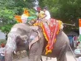 राजस्थान मे  हाथियों से  निकाली गई ,तिरंगा यात्रा की रैली