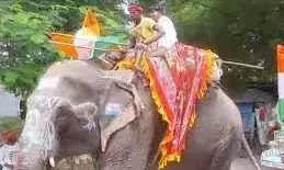 राजस्थान मे हाथियों से निकाली गई ,तिरंगा यात्रा की रैली राजस्थान मे हाथियों से निकाली गई ,तिरंगा यात्रा की रैली