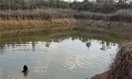 पुणे में  एक महिला  को  बच्चा पैदा करवाने को लेकर नग्न स्नान करने के लिए किया मजबूर,पुलिस ने प्राथमिकी की दर्ज