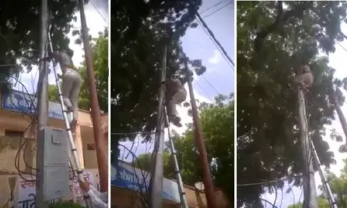 पुलिसवाले ने हेलमेट न पहनने पर लाइनमैन का काटा इतने हजार का चालान, गुस्साए लाइनमैन ने काट दी थाने की लाइट पुलिसवाले ने हेलमेट न पहनने पर लाइनमैन का काटा इतने हजार का चालान, गुस्साए लाइनमैन ने काट दी थाने की लाइट