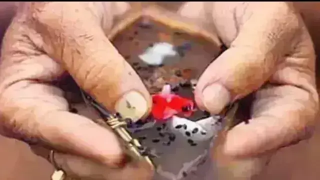 आज अमावस्या को मेष से मीन राशि वाले कर ले यह उपाय, हो जाएंगे मालामाल आज अमावस्या को मेष से मीन राशि वाले कर ले यह उपाय, हो जाएंगे मालामाल