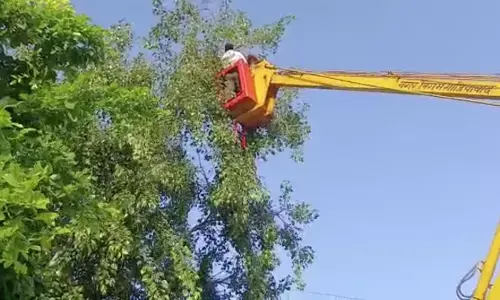 गाजियाबाद में पेड़ पर चढ़ी महिला, उतारने के लिए बुलानी पड़ी गाडी