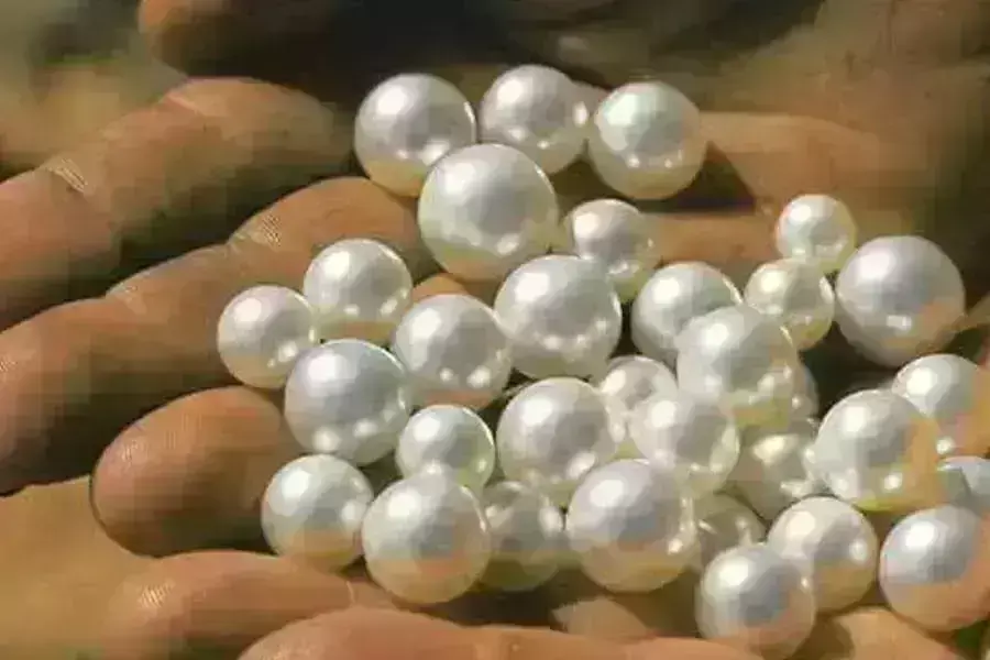 इस धातु को धारण करने से सभी दुख होते है दूर जानिए इस धातु के बारे मे इस धातु को धारण करने से सभी दुख होते है दूर जानिए इस धातु के बारे मे