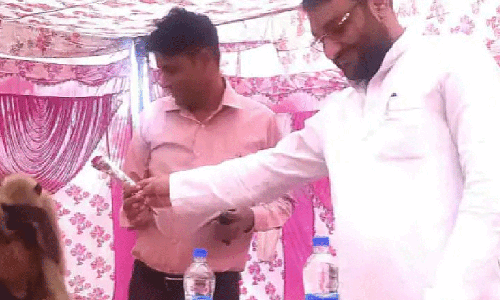 किसान मेले को सम्बोंधित कर रहे थे विधायक जी ,तभी  मंच पर आया लगूंर और छीना लिया माइक जानिए, दिलचस्प नजारा