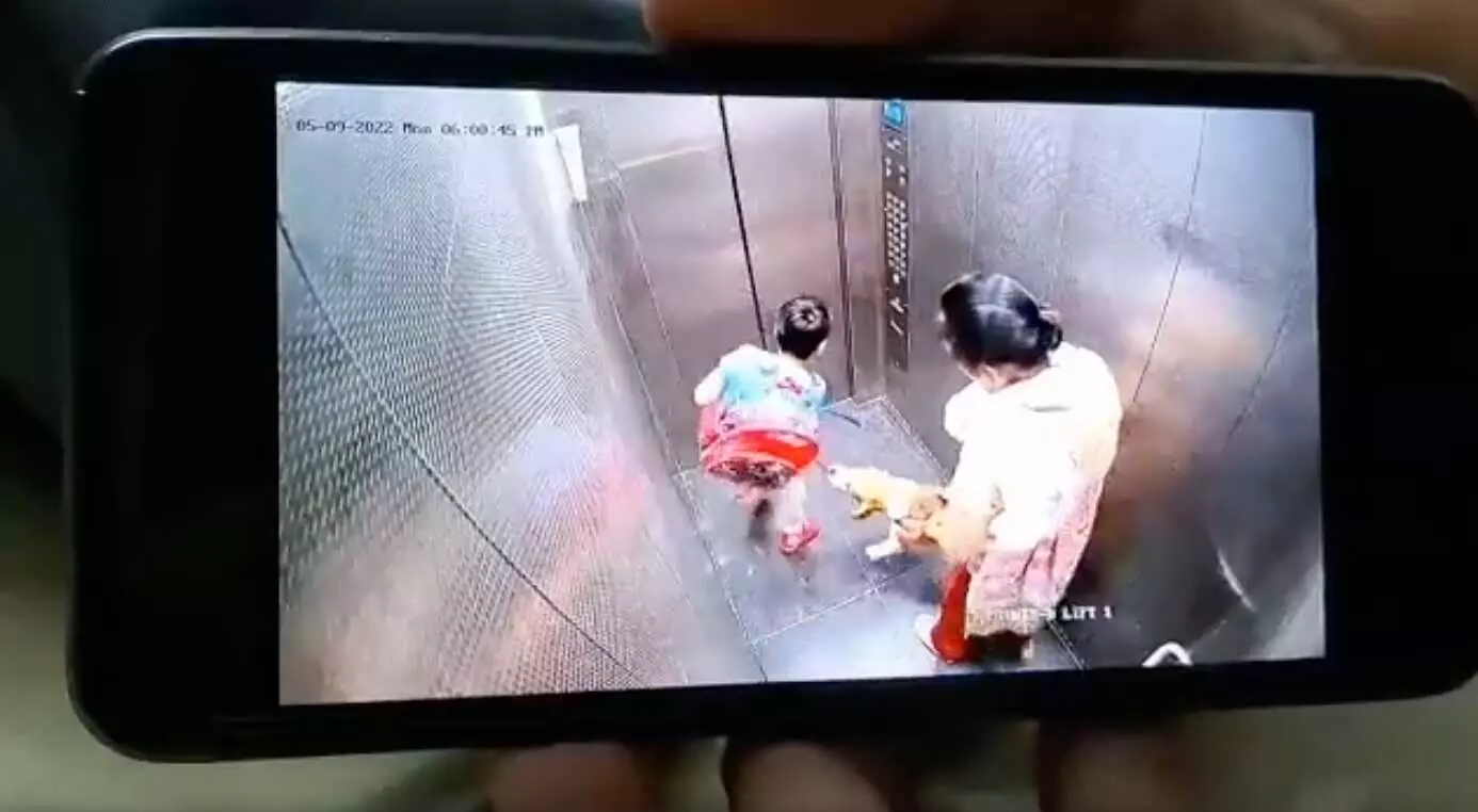 गाजियाबाद में लिफ्ट में बच्चे को कुत्ते ने काटा, खड़ी देखते रही मालकिन, अब दर्ज हुई एफआईआर गाजियाबाद में लिफ्ट में बच्चे को कुत्ते ने काटा, खड़ी देखते रही मालकिन, अब दर्ज हुई एफआईआर