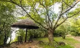 गोरखपुर में बनेगा इको टूरिज्म केंद्र, पर्यटक उठा सकेंगे जंगल सफारी का लुत्फ