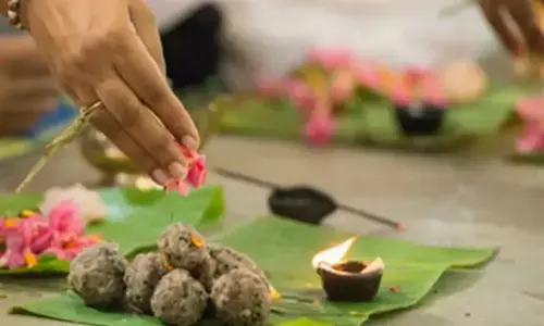 पितृ पक्ष में कौवों को भोजन कराने का क्या महत्व होता है पितृ पक्ष में कौवों को भोजन कराने का क्या महत्व होता है