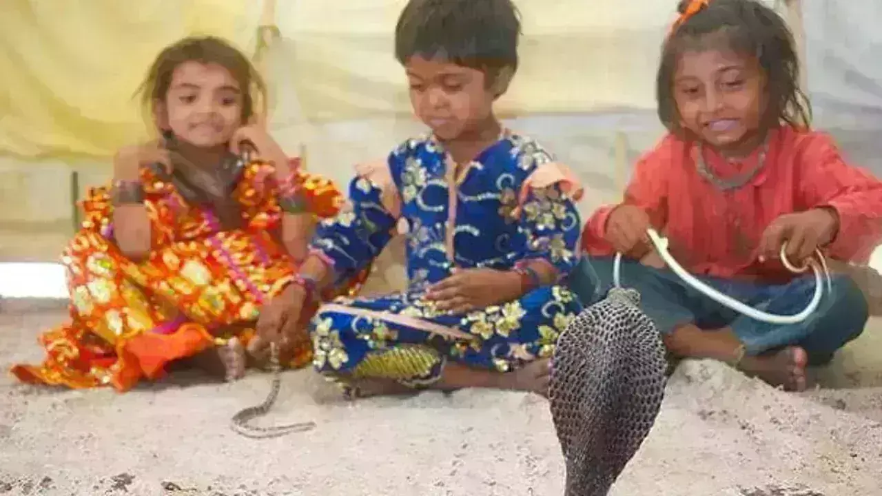 महाराष्ट्र का एक ऐसा गांव जहां परिवार के साथ रहते है जहरीले कोबरा सांप,जानिए इस गांव की अजीब-गरीबो परम्परा महाराष्ट्र का एक ऐसा गांव जहां परिवार के साथ रहते है जहरीले कोबरा सांप,जानिए इस गांव की अजीब-गरीबो परम्परा