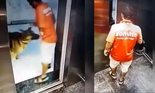Zomato के इस Delivery Boy को लिफ्ट से बाहर निकलते ही कुत्ते ने प्राइवेट पार्ट पर काटा