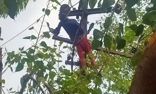 नोएडा में बिजली कर्मचारी की करंट लगने से मौत,परिजनों किया हंगामा नोएडा में बिजली कर्मचारी की करंट लगने से मौत,परिजनों किया हंगामा
