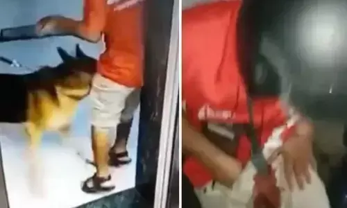 क्या किया जाये जब औलाद से ज्यादा प्यारे हो गए कुत्ते क्या किया जाये जब औलाद से ज्यादा प्यारे हो गए कुत्ते