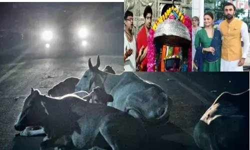 अपना एमपी गज्जब है~4 गाय सड़क मरती है तो मरे रणबीर~आलिया को महाकाल के दर्शन नहीं करने देंगे.. अपना एमपी गज्जब है~4 गाय सड़क मरती है तो मरे रणबीर~आलिया को महाकाल के दर्शन नहीं करने देंगे..