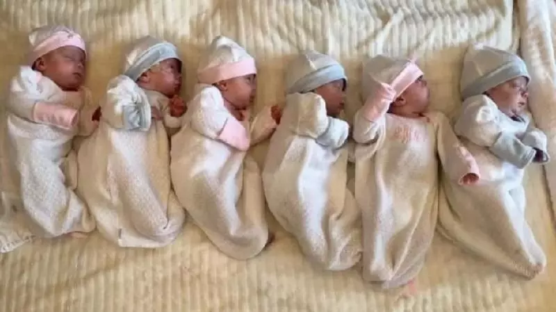 OMG !! महिला ने दिया एक साथ 6 बच्चों को जन्म, लेकिन....