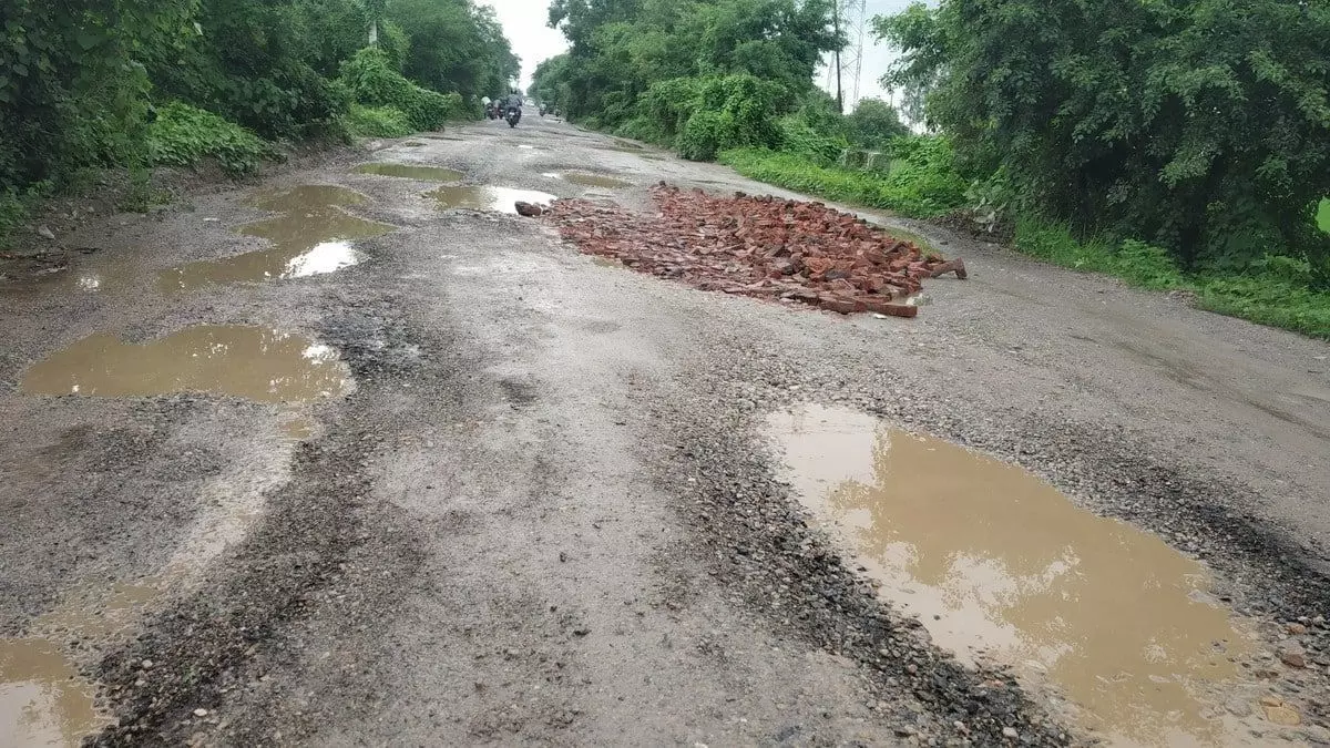 एक शख्स खस्ताहाल सड़क पर अपना दर्द बता रहा था उसी दौरान गड्डे में ई - रिक्शा पलट गया जानिए अजीबो-गरीब घटना