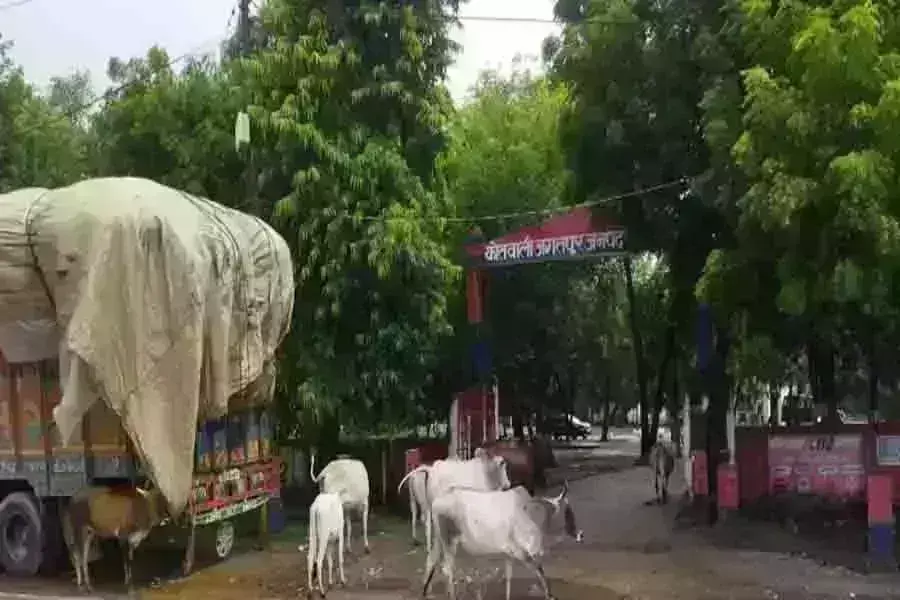 рдЖрд╡рд╛рд░рд╛ рдкрд╢реБ рдЬрдм рдХреЛрддрд╡рд╛рд▓реА рдореЗрдВ рдШреБрд╕реЗ рддреЛ рдордЪ рдЧрдИ рдЕрдлрд░рд╛-рддрдлрд░реА рдЬрд╛рдирд┐рдП рдХреНрдпрд╛ рд╣реИ рдкреВрд░рд╛ рдорд╛рдорд▓рд╛ рдЖрд╡рд╛рд░рд╛ рдкрд╢реБ рдЬрдм рдХреЛрддрд╡рд╛рд▓реА рдореЗрдВ рдШреБрд╕реЗ рддреЛ рдордЪ рдЧрдИ рдЕрдлрд░рд╛-рддрдлрд░реА рдЬрд╛рдирд┐рдП рдХреНрдпрд╛ рд╣реИ рдкреВрд░рд╛ рдорд╛рдорд▓рд╛