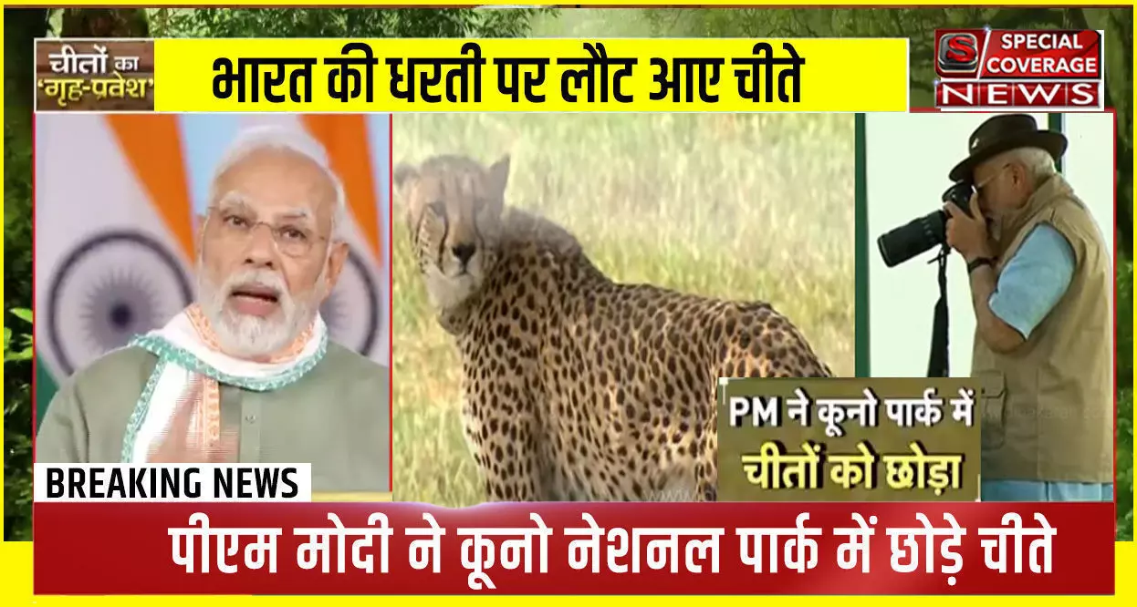 2009 में जूनागढ़ में जिन चार चीतों को लाया गया, उनका क्या हुआ ? रवीश कुमार ने किया खुलासा 2009 में जूनागढ़ में जिन चार चीतों को लाया गया, उनका क्या हुआ ? रवीश कुमार ने किया खुलासा