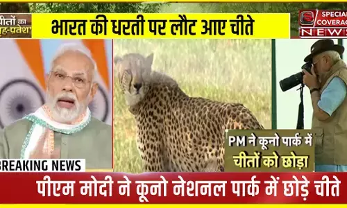 LIVE : कूनो नेशनल पार्क में PM मोदी ने रिलीज किए चीते, लीवर खींचने के बाद खुद खींचे फोटो, VIDEO LIVE : कूनो नेशनल पार्क में PM मोदी ने रिलीज किए चीते, लीवर खींचने के बाद खुद खींचे फोटो, VIDEO