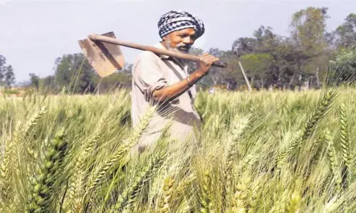 Pm Kisan Maandhan Yojana: इस योजना का लाभ लेने के लिए किसान के पास ये पेपर होना जरूरी है Pm Kisan Maandhan Yojana: इस योजना का लाभ लेने के लिए किसान के पास ये पेपर होना जरूरी है