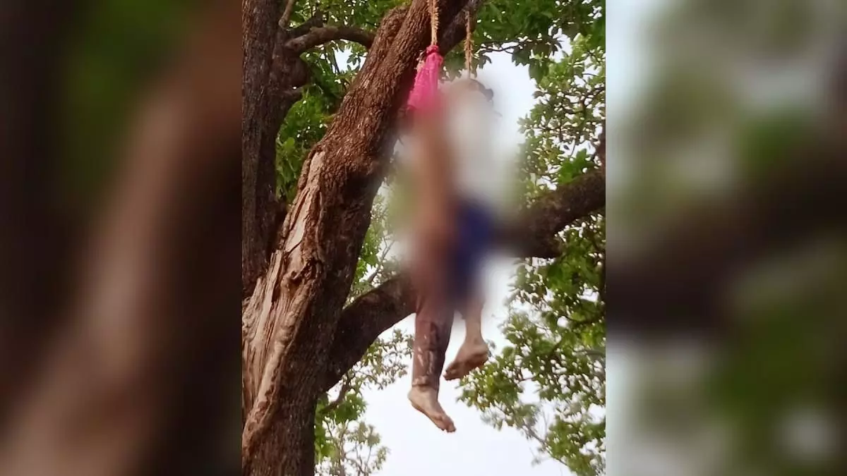 यूपी : संतकबीरनगर में पेड़ पर लटके मिले लड़का-लड़की के शव, इलाके में फैली सनसनी, पुलिस मौके पर मौजूद