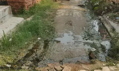 बेलगाम सफाई कर्मी सारा दिन चौराहे पर बैठकर करते हैं नेतागीरी बेलगाम सफाई कर्मी सारा दिन चौराहे पर बैठकर करते हैं नेतागीरी