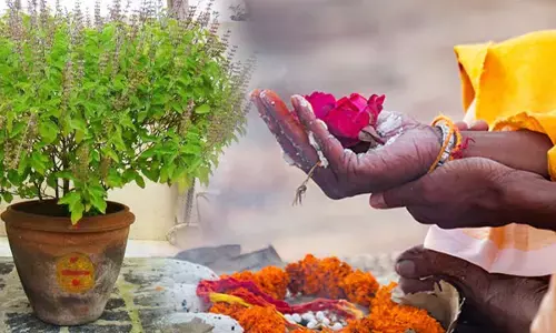 मृत्यु के समय पास हों ये चीजें, तो श्राद्ध के बिना भी आपके पितरों को मिल सकता है स्वर्ग मृत्यु के समय पास हों ये चीजें, तो श्राद्ध के बिना भी आपके पितरों को मिल सकता है स्वर्ग