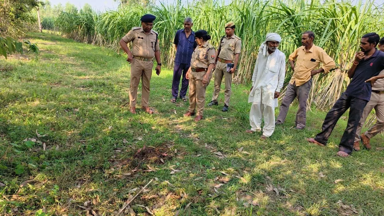 रिश्तों का खून: पत्नी को जंगल ले जाकर लाठी डंडो से पीट पीट की हत्या फिर खुद पेड़ से लटक कर दी जान