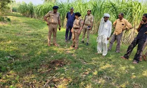 रिश्तों का खून: पत्नी को जंगल ले जाकर लाठी डंडो से पीट पीट की हत्या फिर खुद पेड़ से लटक कर दी जान रिश्तों का खून: पत्नी को जंगल ले जाकर लाठी डंडो से पीट पीट की हत्या फिर खुद पेड़ से लटक कर दी जान