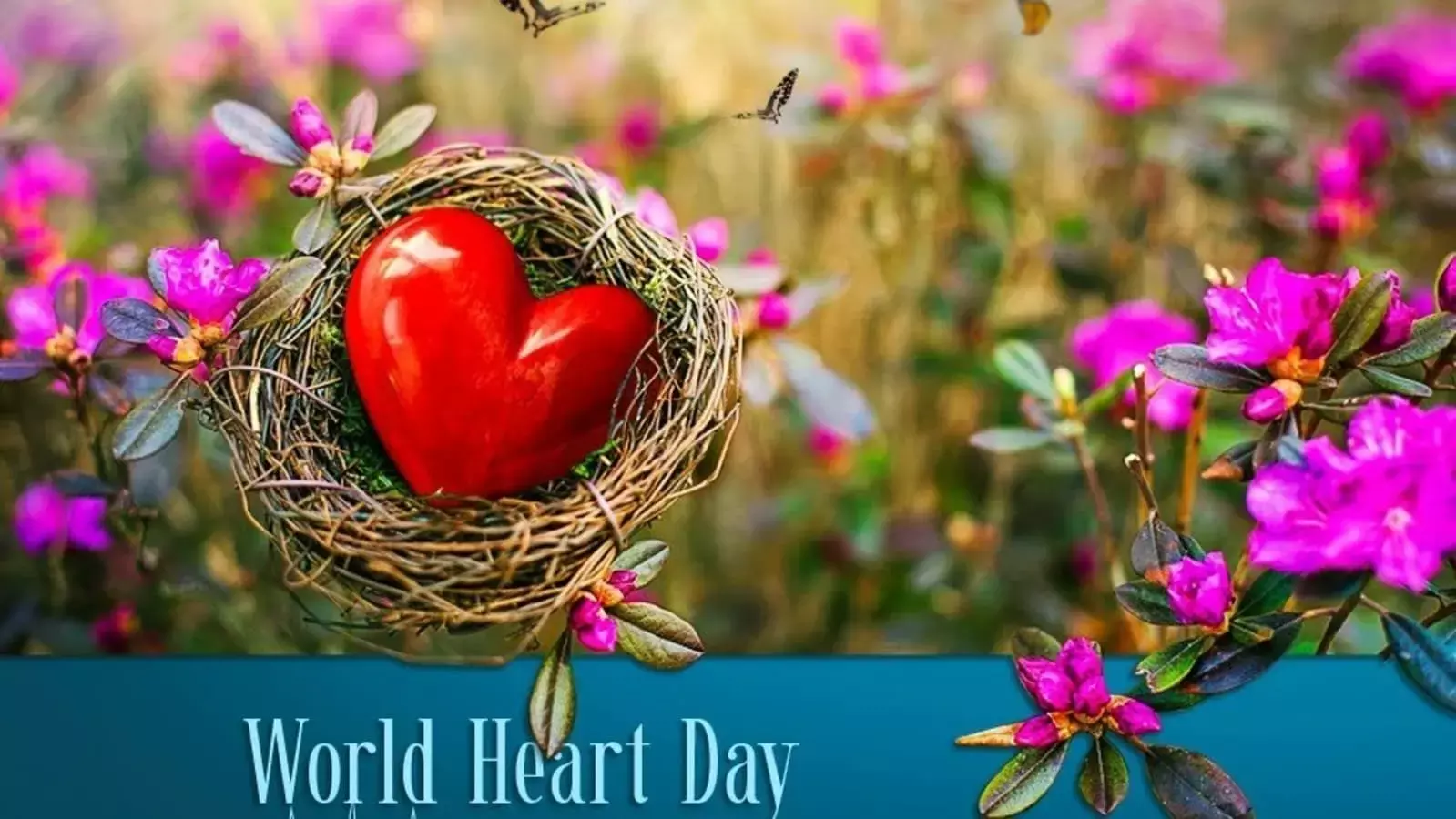 World Heart Day Special Coverage : स्वस्थ और सजग भोजन व्यवस्था  हृदय संबंधी बीमारियों को रोकने में मददगार