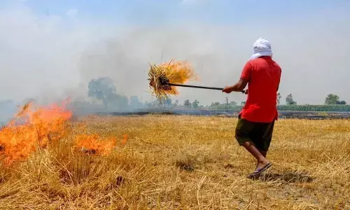 पराली जलाने की समस्या के समाधान में लगेंगे 4-5 साल