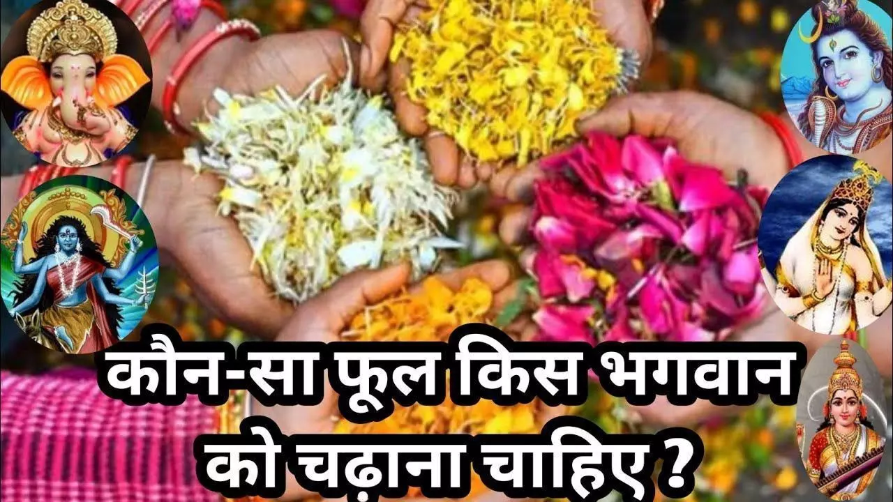 भगवान के पसंदीदा फूल चढाने से खुलता है किस्मत का ताला जानिए ज्योतिष के अनुसार भगवान के पसंदीदा फूल चढाने से खुलता है किस्मत का ताला जानिए ज्योतिष के अनुसार