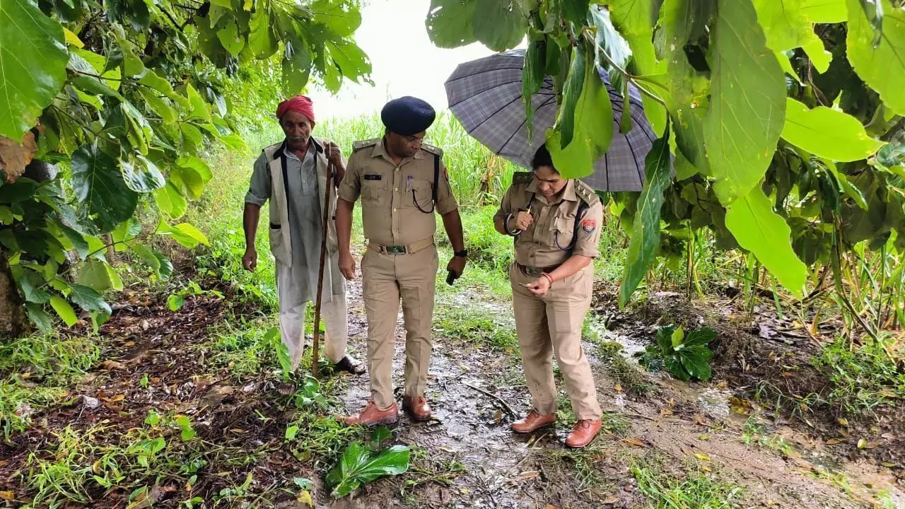 बिजनौर : प्रेम प्रसंग के चलते युवक युवती ने फांसी लगाकर की आत्महत्या, पेड़ से लटके मिले दोनों के शव