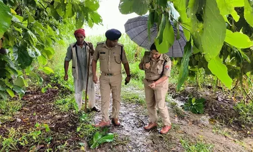 बिजनौर : प्रेम प्रसंग के चलते युवक युवती ने फांसी लगाकर की आत्महत्या, पेड़ से लटके मिले दोनों के शव बिजनौर : प्रेम प्रसंग के चलते युवक युवती ने फांसी लगाकर की आत्महत्या, पेड़ से लटके मिले दोनों के शव