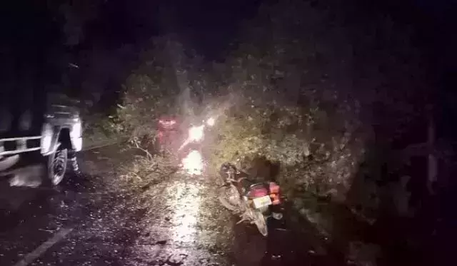 भारी बारिश के चलते सडक पर गिरे पेड से टकराई मोटरसाइकिल दो युवको की मौत...