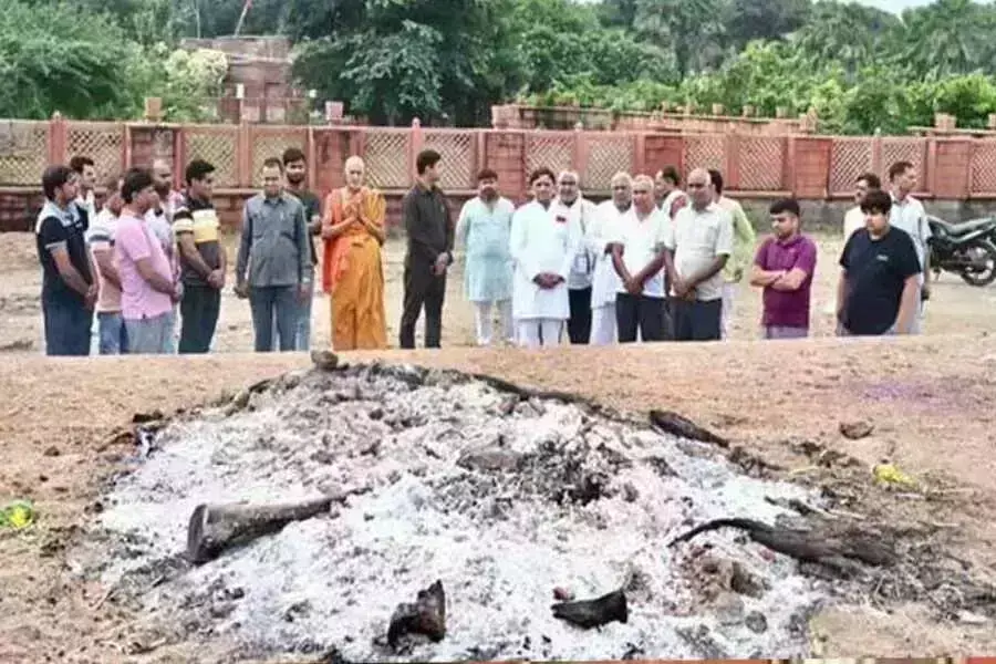 अखिलेश यादव ने किया भावुक कर देने वाला ट्वीट देखे... अखिलेश यादव ने किया भावुक कर देने वाला ट्वीट देखे...