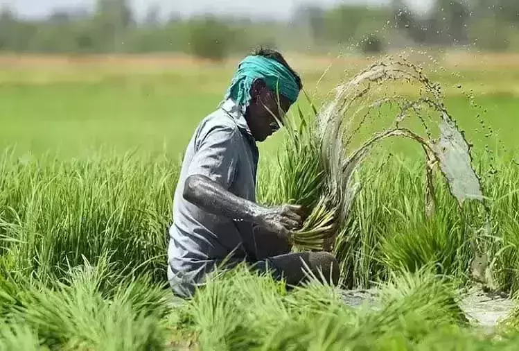 PM KISAN SAMMAAN NIDHI;-किसानो को दिवाली से पहले मिला बडा तोहफा,जानें इस रिपोर्ट में....