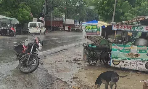 75 वर्ष बाद इस गांव में पहुंची बिजली, खुशी से खिले चेहरे 75 वर्ष बाद इस गांव में पहुंची बिजली, खुशी से खिले चेहरे