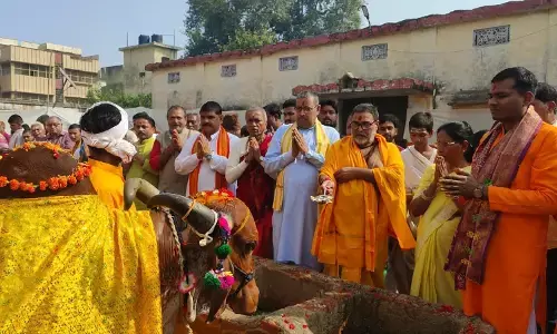 गोपाष्टमी का पर्व आज! काशी की गोशालाओं में गायों का हुआ पूजन...