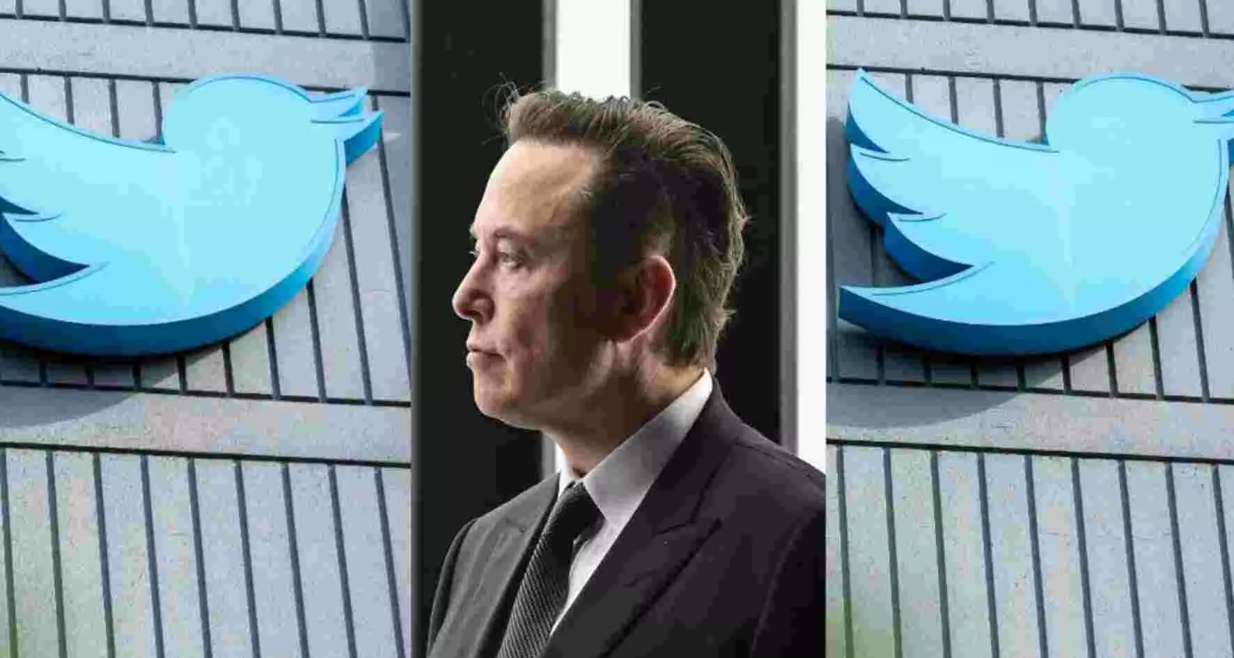 Elon Musk ने पहले Twitter कर्मचारियों को बाहर निकाला, अब लगाई गुहार वापस आ जाओ... गलती हो गई Elon Musk ने पहले Twitter कर्मचारियों को बाहर निकाला, अब लगाई गुहार वापस आ जाओ... गलती हो गई