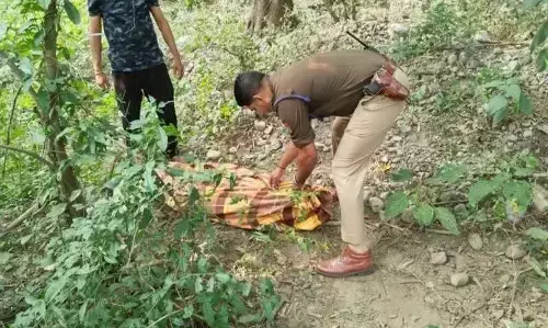 जंगल में एक साधु की लाश मिलने से सनसनी जंगल में एक साधु की लाश मिलने से सनसनी