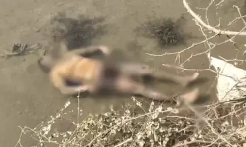 जब मिली सड़ी गली लाश, कहीं हाथ तो पंजे कही और मिल, इलाके में फैली सनसनी जब मिली सड़ी गली लाश, कहीं हाथ तो पंजे कही और मिल, इलाके में फैली सनसनी