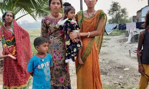 क्या वैशाली की राजनर्तकी अम्बपाली डोम (चांडाल) कन्या थी?