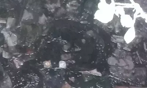 दिल्ली के बाद आजमगढ़ में मिली युवती की कई टुकड़ों में लाश मिलने से सनसनी, सिर अभी भी गायब दिल्ली के बाद आजमगढ़ में मिली युवती की कई टुकड़ों में लाश मिलने से सनसनी, सिर अभी भी गायब