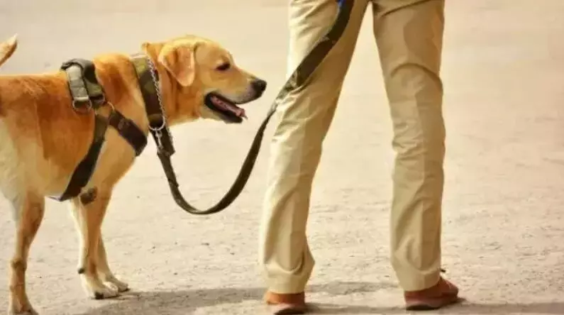 नोएडा प्राधिकरण ने कुत्ते के मालिक पर लगाया 10,000 रुपये का जुर्माना